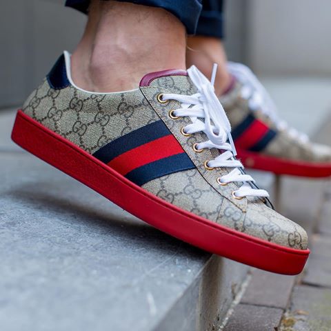 gucci ace sneakers supreme